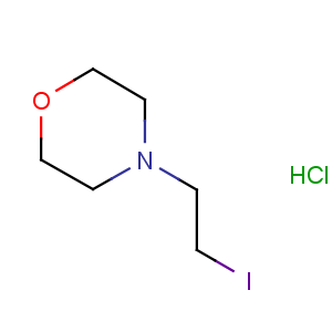 H13169