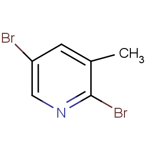 H21113