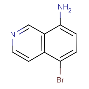 INT-1293