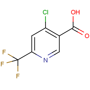 NP1373