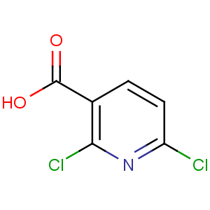 NP1545