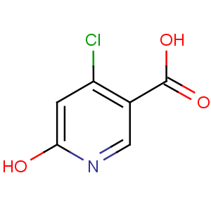 NP2367