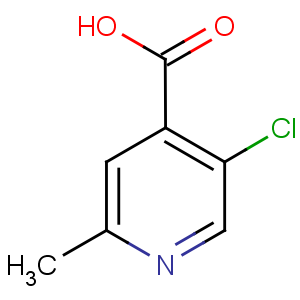 NP2525