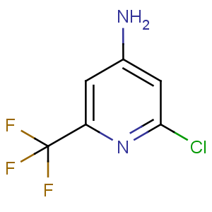 NP2553