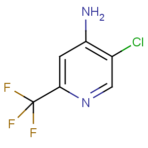 NP2558