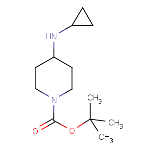 T10293