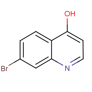 T13981