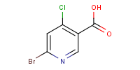 NP2363