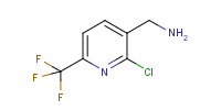 NP2556