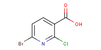 NP2617