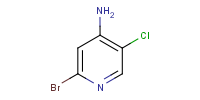 NP2619