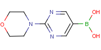 PM1019