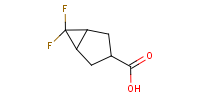 CF1037